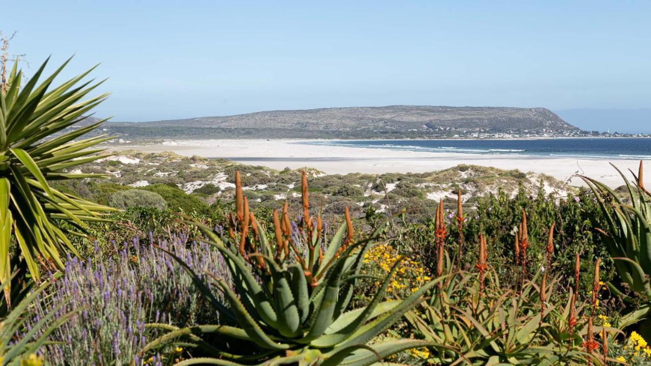 Noordhoek Bliss Beach House Villa Cape Town Dış mekan fotoğraf